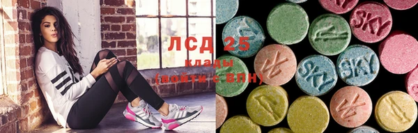 гидропоника Алзамай