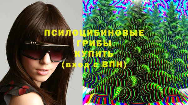 гидропоника Алзамай